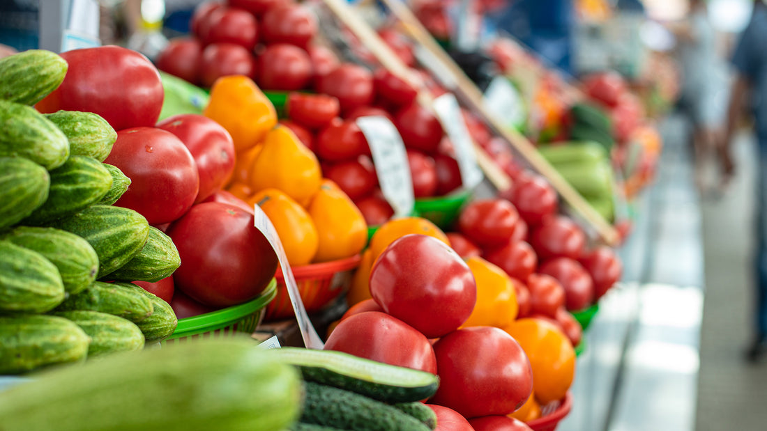 Get Ready for Fun-tastic Activies